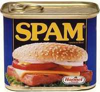 SEO spam